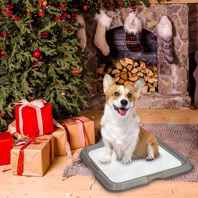 PAWISE Dog Training Pad Holder Tray, Indoor Puppy Potty Pee Pad Floor Tray, 24''X24', Large