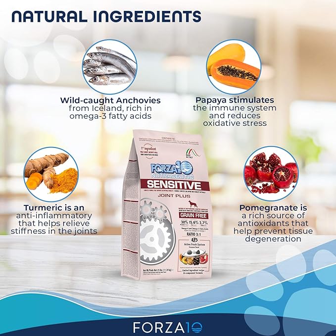 Forza10 Sensitive Joint Support Dog Food, 25 Pound Bag Mobility Support Dog Food, Fish Flavor Dry Dog Food Joint Support, Grain Free Dog Glucosamine Chondroitin for Mobility Arthritis Joint Issues