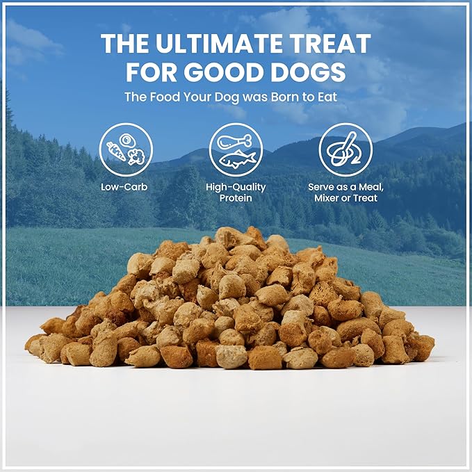 Muenster Freeze Dried Dog Food Topper Bites (20oz) - Farmhaus Beef Freeze Dried Raw Dog Food w/Organic Minerals - Beef & Organ Meats Meal Toppers for Dogs - Freeze Dried Dog Treats for Training