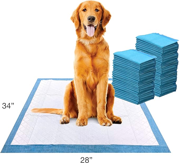 Four Paws Wee-Wee Superior Performance XL Pee Pads for Extra Large Dogs, Leak-Proof Floor Protection Dog & Puppy Quilted Potty Training Pads, Unscented, 28" x 34" (75 Count)