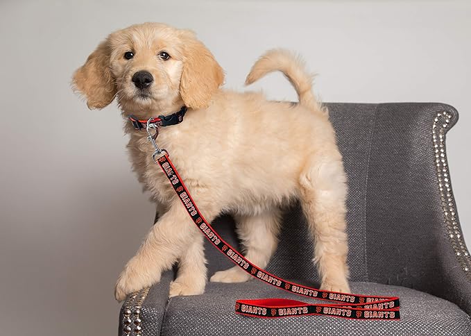 MLB PET Leash, Small, San Francisco Giants Dog Leash, Baseball Team Leash for Dogs & Cats. A Shiny & Colorful Dog & Cat Leash with Emboridered Team Name/Logo Licensed by the MLB