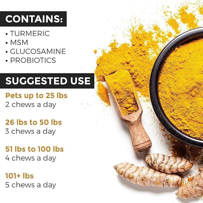 Renew Actives Organic Turmeric Joint Supplement for Dogs - Advanced Canine Support for Hip, Joint & Cartilage Health - Natural Mobility Formula with 120 Chewable Soft Treats