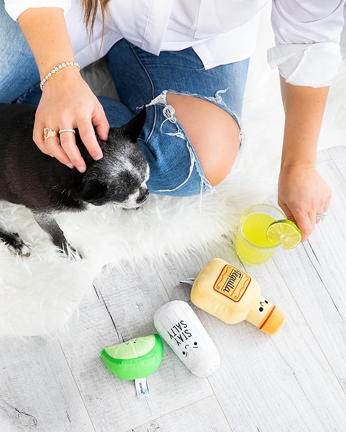 Pearhead Pet Toys, Plush Dog Squeaker Toys and Cat Teaser Toys, Dog Owner and Cat Owner Pet Toy Sets, Must Have Pet Accessories for Pet Owners