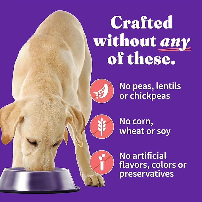 Halo Elevate Wet Dog Food, Kettle Cooked Chunky Healthy Grains Chicken & Salmon Stew with Carrots, White Potatoes and Brown Rice, 12.7oz (Pack of 6)