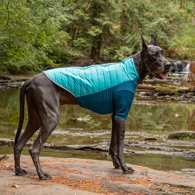 Furhaven Water-Repellent XXL Dog Coat, Washable w/ Leash Access & Stretch Fabric - Pro-Fit Active Jacket - Aquamarine, 2XL/XX-Large