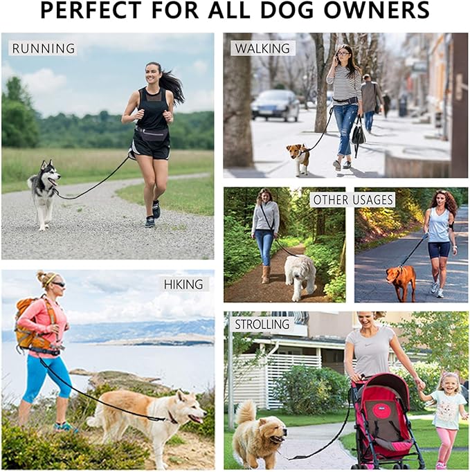 Hands Free Dog Leash, Waist Leash for Dog Walking, Running Leash with Zipper Pouch for Medium Large Dogs, Dual Handle and Retractable Bungee Hands Free Leash for Training Jogging Hiking