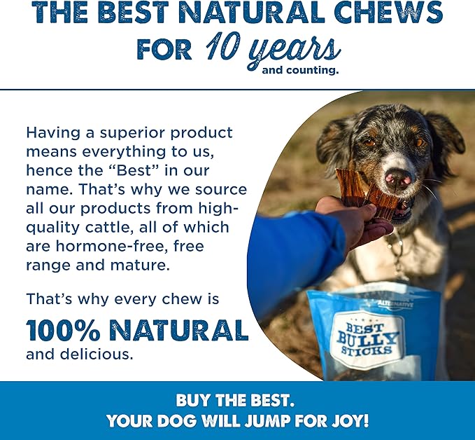 Best Bully Sticks 6 Inch Joint Jerky Gullet Dog Treats (25 Pack) - All-Natural Beef Dog Treats