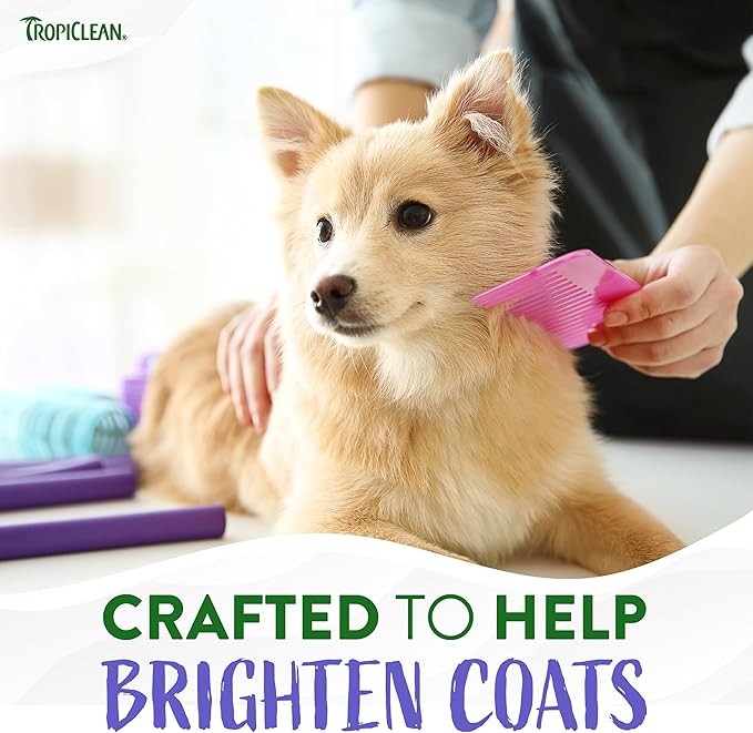TropiClean Awapuhi Coconut Whitening Dog Shampoo for White Coats & All Coat Types | Natural Pet Shampoo Derived from Natural Ingredients | Cat Friendly | Made in the USA | 1 gal.