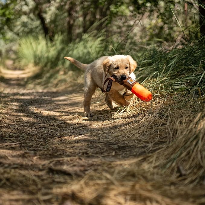 Carhartt Pet Toys, Training Fetch and Chew
