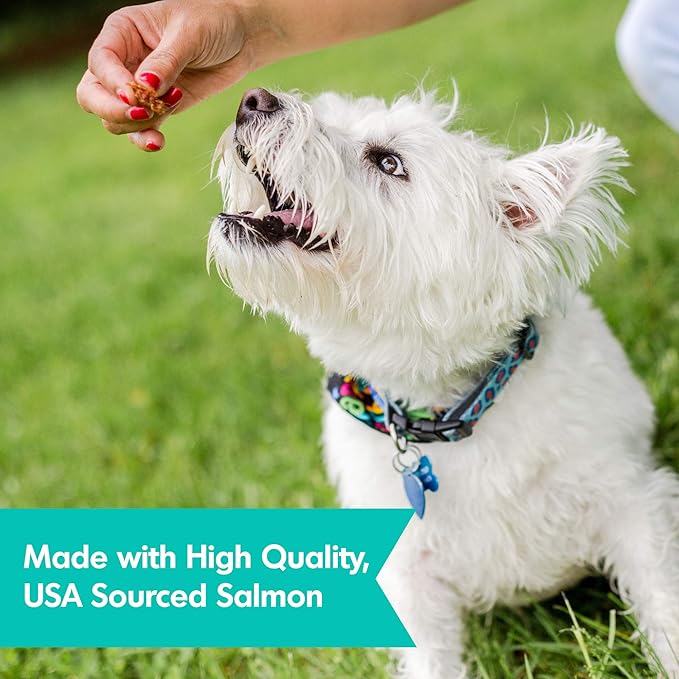 Dogswell Skin and Coat Grain-Free Salmon Jerky for Dogs, 10 Ounces, Model: 842225