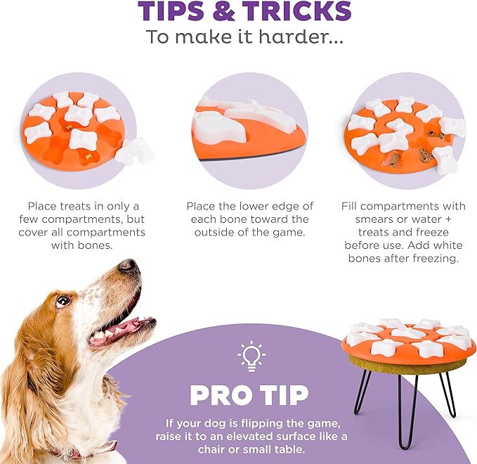 Outward Hound Nina Ottosson Dog Smart Dog Puzzle Interactive Treat Puzzle Dog Enrichment Dog Toy, Level 1 Beginner, Orange
