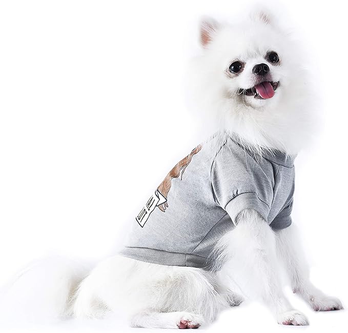 Star Wars for Pets Chewbacca "Original Co-Pilot" Dog Tee - Star Wars Dog Shirt for Large Dogs - Size X-Large - Soft, Cute, and Comfortable Dog Clothing and Apparel, Cute Dog Clothes