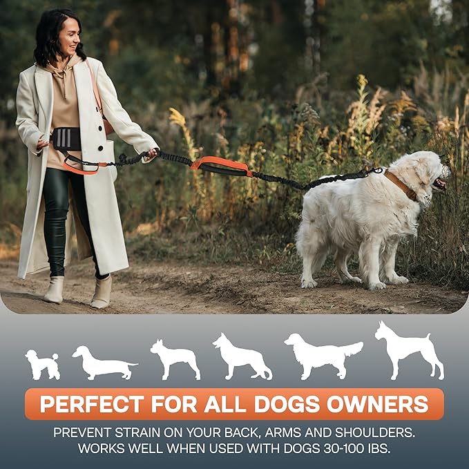Hands Free Dog Leash with Waist Bag Fanny Pouch, Double Padded Handles, Adjustable Belt, Bungee Cord, Red