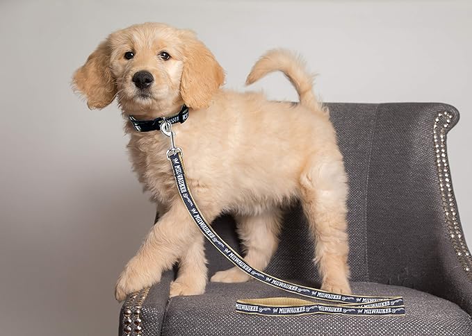 MLB PET Leash, Small, Milwaukee Brewers Dog Leash, Baseball Team Leash for Dogs & Cats. A Shiny & Colorful Dog & Cat Leash with Emboridered Team Name/Logo Licensed by the MLB