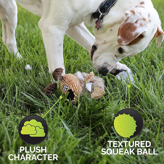 Hyper Pet Bumpy Palz 2-In-1 Interactive Dog Toys, Dog Chew Toys & Dog Puzzle Toy (Plush Dog Toy Exterior & Fun Squeaky Dog Ball Dog Toy Interior for Large Dogs, Medium Dogs & Small Dogs)