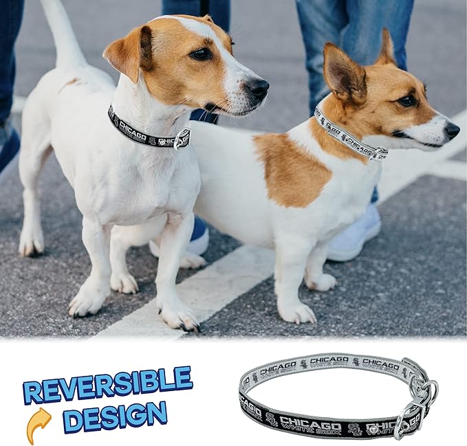 Pets First Chicago White SOX Reversible MLB Dog Collar Large. Premium Home & Away Two-Sided Adjustable Metal Buckle MLB Baseball Team Unique Design on Each Side Dogs & Cats, Medium (WSX-3280-MD)