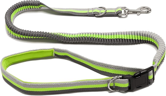 Furhaven Bungee Dog Leash w/ Quick Release Easy Tether - Volt Stripe, One Size