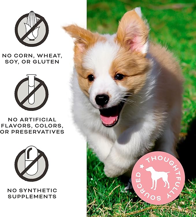 Primal Beef Jerky Dog Treats Made with Beef Bone Broth for Dogs, FriendChips Matter Chewy Dog Treat, 4 oz (Pack of 2)