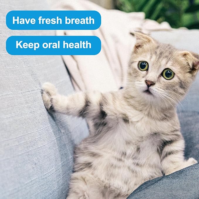 2pcs Dual Sided Cats & Dogs Toothbrushes, Kitten Puppy Toothbrush Pet Teeth Cleaning Brush with Micro Brush Head & Curved Handle Cat Dental Care Supplies to Reduce Plaque Tartar Formation