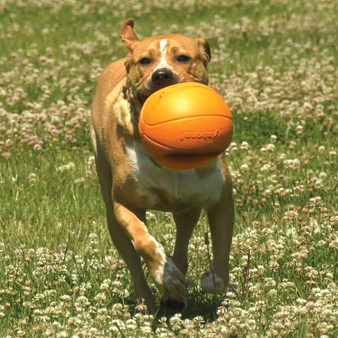 Nylabone Power Play Basketball B-Ball Gripz Fetch Toy, Squeaky Ball Chew Toy for Dogs, Medium (1 Count)