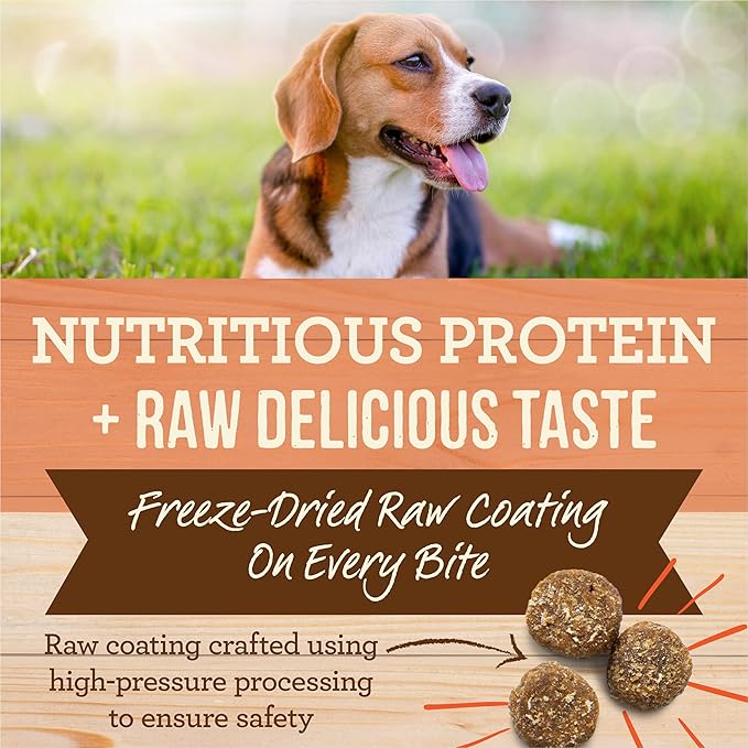Merrick Healthy Grains Freeze Dried Raw Coated Kibble, Natural High Protein Dog Food, Salmon and Brown Rice - 22.0 lb. Bag