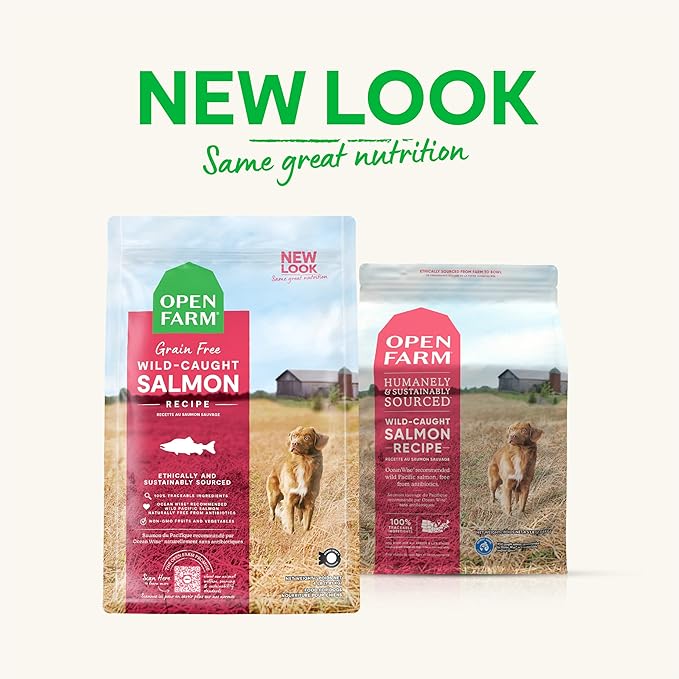 Open Farm Wild-Caught Salmon Grain-Free Dry Dog Food, Fresh Pacific Salmon Recipe with Non-GMO Superfoods and No Artificial Flavors or Preservatives, 4 lbs