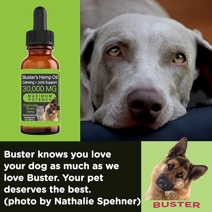 Max Potency Buster's Organic Hemp Oil treats for Dogs & Cats - Perfect Ratio Omega 3 & 6 - Made in USA - Hip & Joint Health, Natural Relief, Calming (1-Pack)