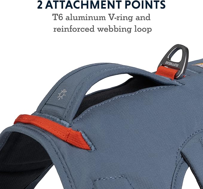 Ruffwear, Web Master, Multi-Use Support Dog Harness, Hiking and Trail Running, Service and Working, Everyday Wear, Slate Blue, Small