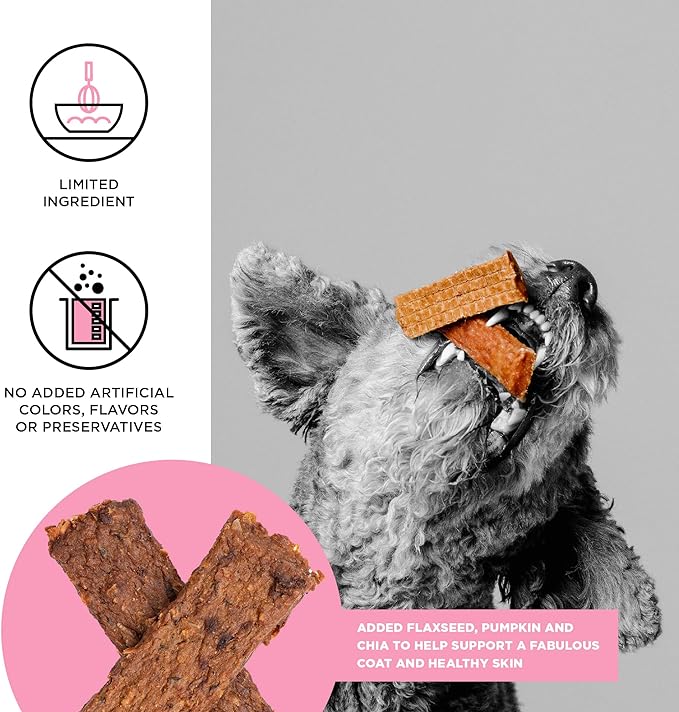 BIXBI Skin & Coat Support Salmon Jerky Dog Treats, 4 oz - USA Made Grain Free Dog Treats - Antioxidant Rich to Support Shiny, Full Bodied Coats - High in Protein, Whole Food Nutrition, No Fillers