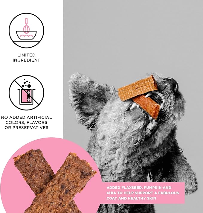 BIXBI Skin & Coat Support Salmon Jerky Dog Treats, 10 oz - USA Made Grain Free Dog Treats - Antioxidant Rich to Support Shiny, Full Bodied Coats - High in Protein, Whole Food Nutrition, No Fillers