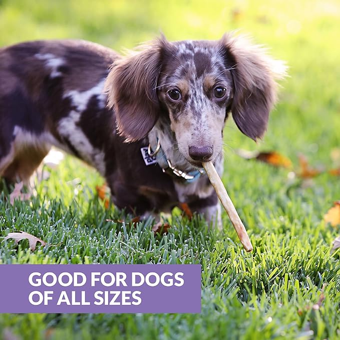 Beef Collagen Sticks for Dogs (25 Pack, 5 Inch) Long Lasting Dog Chews (Duck Flavored) No Hide Dog Treat Bully Stick Rawhide Free, Grain Free, High Protein