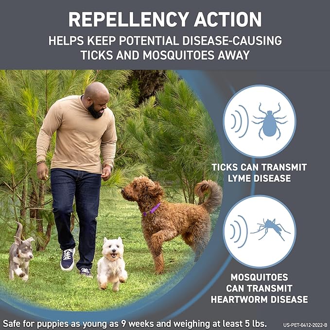 FRONTLINE Shield Flea & Tick Treatment for Large Dogs 41-80 lbs., Count of 6