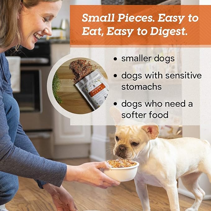 Dr. Harvey's Veg-to-Bowl Fine Ground Dog Food, Human Grade Dehydrated Base Mix for Dogs, Grain Free Holistic Mix for Small Dogs Trial Size (6.5 oz)