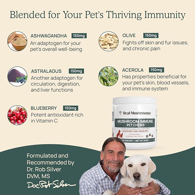 Mushroom Immune Support Pet Chews (60ct) treats for dogs – Immune booster supplements for pets with Ashwagandha, Astragalus, Blueberry, Olive Leaf, Acerola &Gut Health for Dogs and Cats