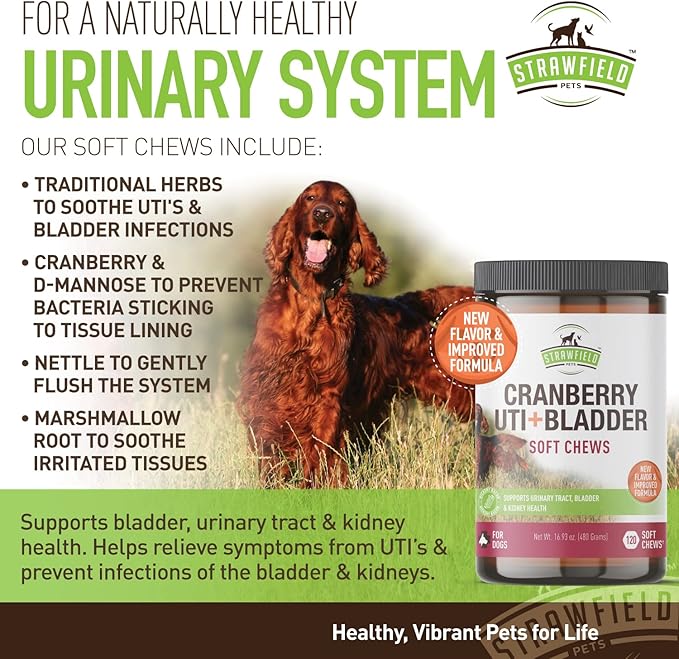Strawfield Pets' Cranberry UTI + Bladder Soft Chews Cranberry Supplement for Dogs Urinary Tract - Bacon Flavor 120 Chews