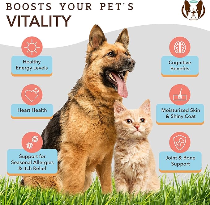 Natural Dog Company Wild Alaskan Fish Oil for Dogs and Cats (16oz) - Blend of Pollock Oil & Wild Salmon Oil for Dogs - EPA, DHA & Omega 3 for dogs - Reduces Shedding, Nourishes Skin, Coat & Joints
