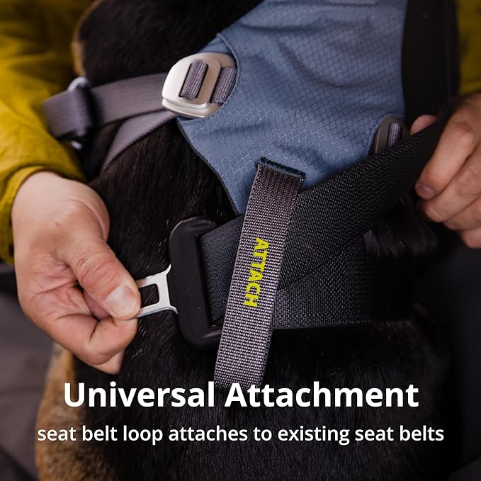 Ruffwear, Load Up Dog Harness, Strength-Rated Car Safety Harness with Universal Seat Belt Attachment, Slate Blue, Small