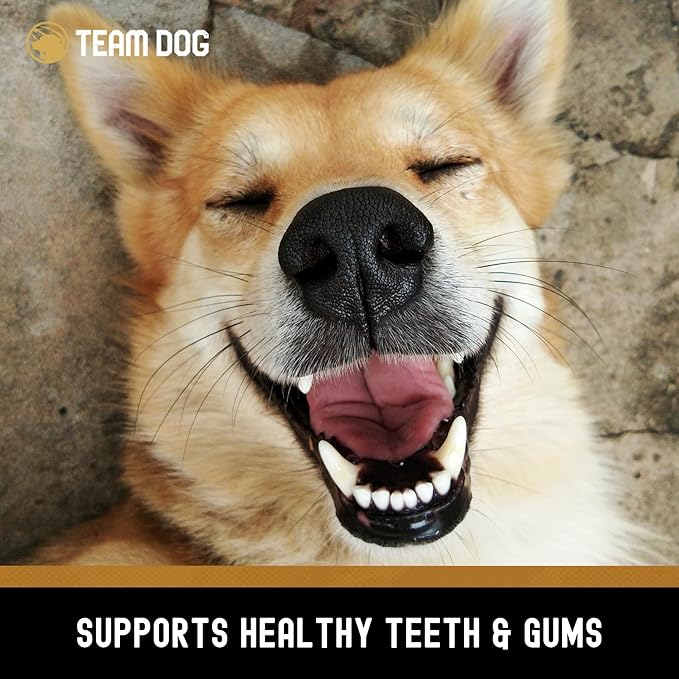 Beef Trachea Dog Chews | Single Ingredient Dog Treat | 100% Freeze Dried Beef Gullet Sticks for Dogs | Supports Healthy Teeth & Gums | All Natural Esophagus Dog Treats Made in USA | 3 Per Bag