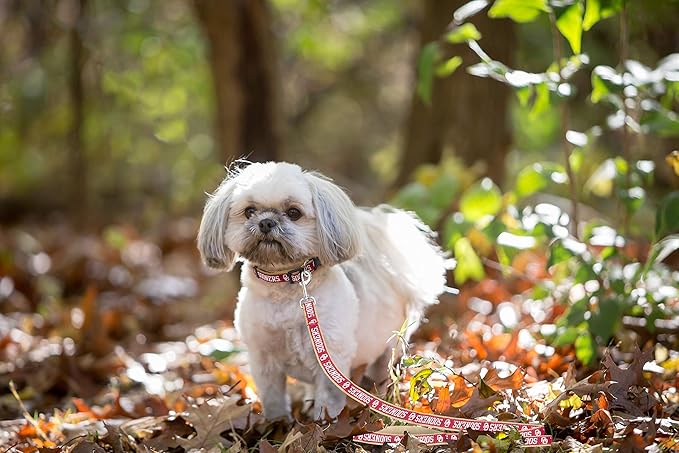 Pets First Collegiate Pet Accessories, Dog Leash, Oklahoma Sooners, Medium
