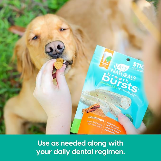 ARK NATURALS Breath Bursts Brushless Toothpaste, Dog Dental Sticks for Large Breeds, Unique Texture Helps Clean Teeth & Freshen Breath, Cinnamon, 6 oz, 1 Pack
