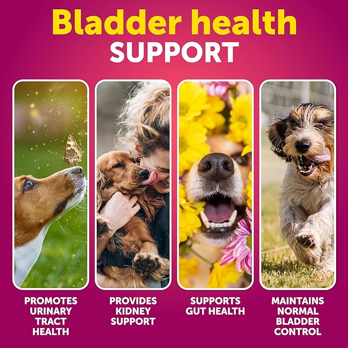 Dog UTI Treatment - Cranberry Supplement for Dogs - Bladder Control for Dogs - Dog Urinary Tract Infection Treatment - UTI Medicine for Dogs - Dog Cranberry Supplement - Kidney Support - 70 Chews