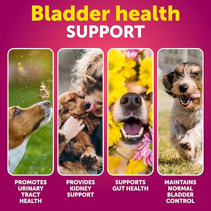 Dog UTI Treatment - Cranberry Supplement for Dogs - Bladder Control for Dogs - Dog Urinary Tract Infection Treatment - UTI Medicine for Dogs - Dog Cranberry Supplement - Kidney Support - 70 Chews