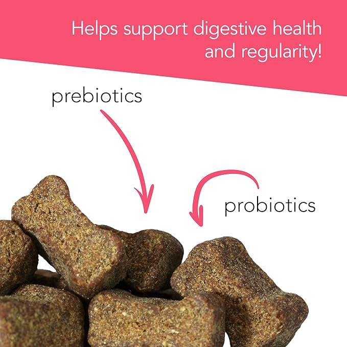 VetriScience Probiotic Everyday for Dogs Duck Flavor 120 Chews - Itchy Skin Gut Health and Gas Relief with Prebiotics
