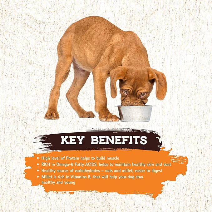 Inception® Wet Dog Food Chicken & Pork Meal Recipe – Complete and Balanced Dog Food – Legume Free Meat First Wet Dog Food – 12/13oz case
