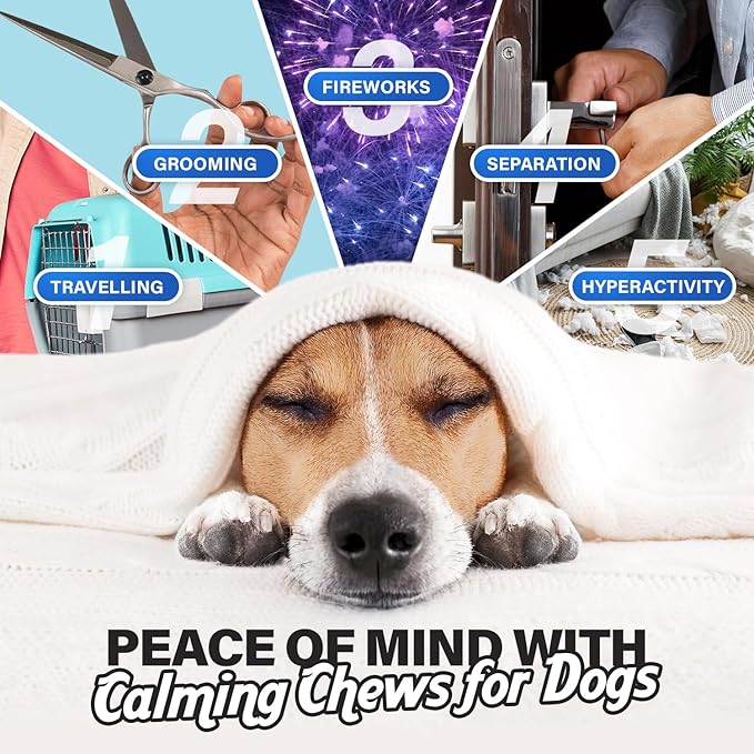 Charlie & Buddy Calming Chews for Dogs, Dog Anxiety Relief, Promote Relaxation, Dog Calming Chews with Melatonin for Dogs, Chamomile, Magnesium Citrate, 90 Soft Chews, Duck Flavor