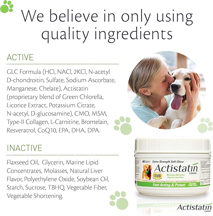 Canine Large Dog Soft Chews, 60ct – Patented Extra-Strength Joint, Cartilage, Soft Tissue Supplement: Glucosamine, Chondroitin, Manganese, MSM, L-Carnitine – High Absorption, Fast Results