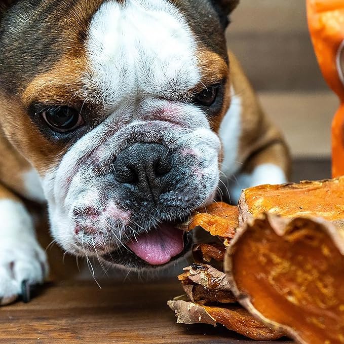 Covington Sweet Potato - Bacon - 5.29 oz, Dehydrated Dog Treats, Vitamin Rich All Natural Chew, This & That Canine Co
