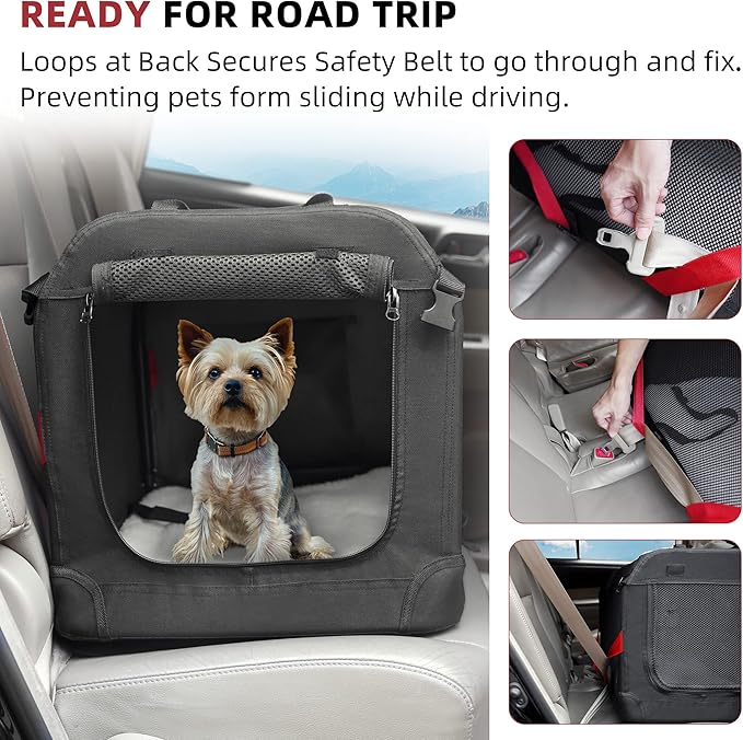 Large Cat Carrier for 2 Cats Small Medium Dogs, Soft Pet Carrier 24x17x17 for Traveling with Warm Blanket Foldable Bowl and Washable Pad