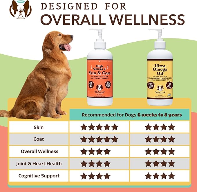 Natural Dog Company Skin & Coat Oil (16 oz.), Supports Skin Health, Fish Oil Supplements for Dogs, Soft Coat, Salmon Oil & Flaxseed Oil, Fatty Acids, Bottle of Dog Fish Oil with pump, Antioxidant