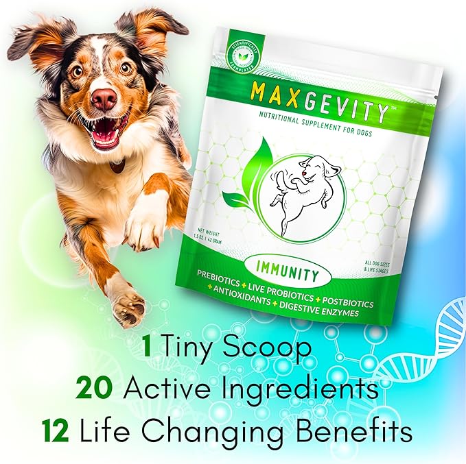MAXGEVITY Digestive and Immune Support Meal Topper with Superfoods, Live Probiotics, Pre & Postbiotics, Digestive Enzymes, and Antioxidants, Up to 90-Day Supply
